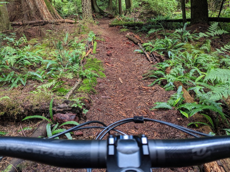 stanley park cycling route