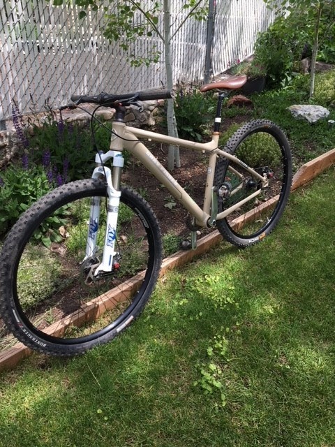 2008 Gary Fisher Rig 29er Single Speed For Sale