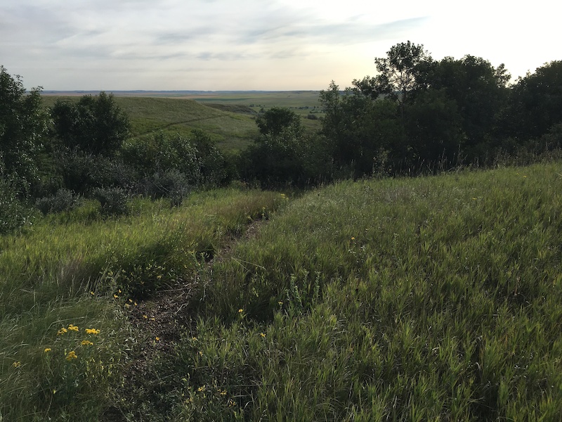 Schnell Loop 1 Multi Trail Richardton, North Dakota