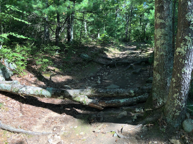 Walleston Loop Trail Multi Trail Upton, Massachusetts