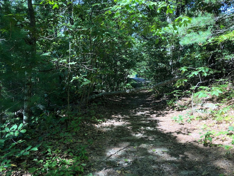 Taft Trail Multi Trail Upton, Massachusetts