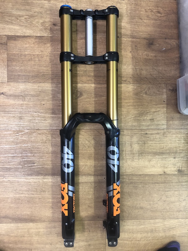 fox dual crown fork