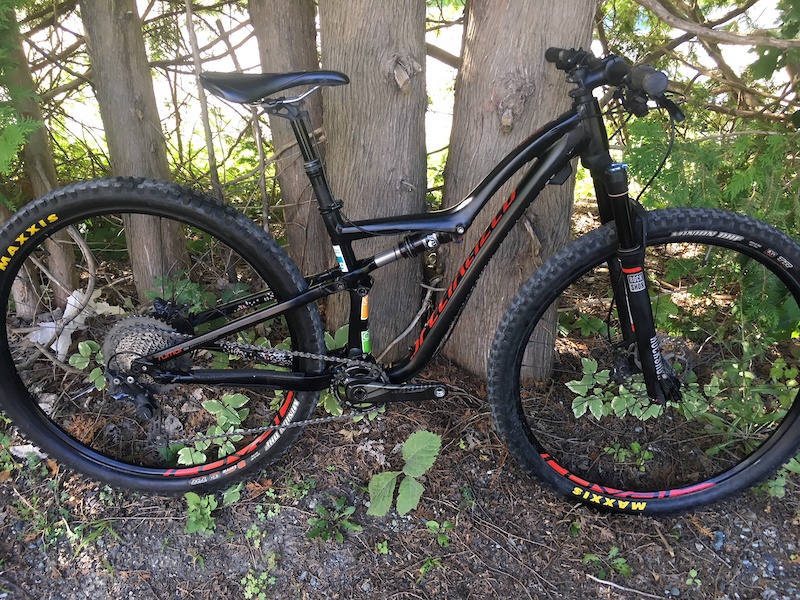 specialized rumor elite