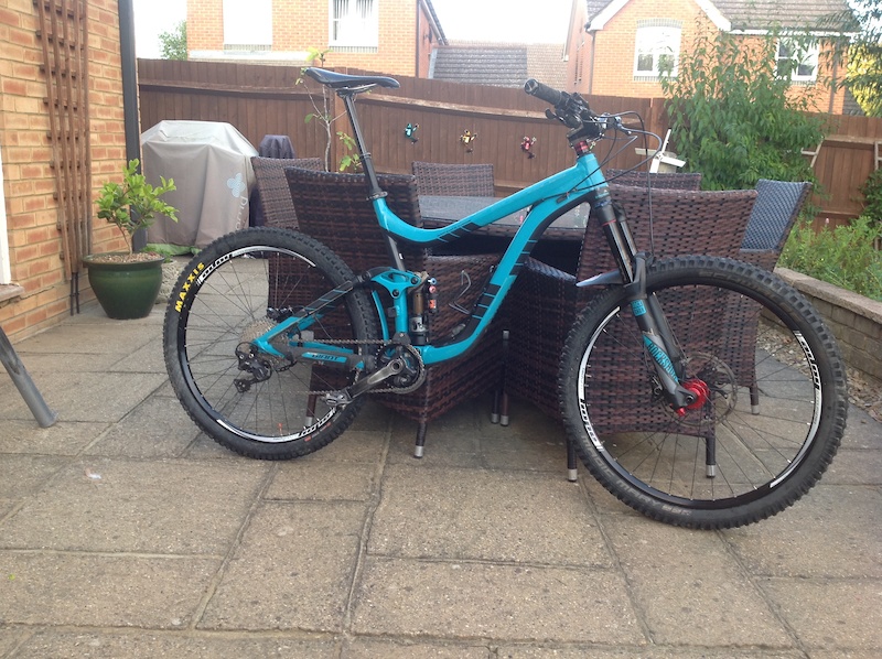 giant reign custom paint