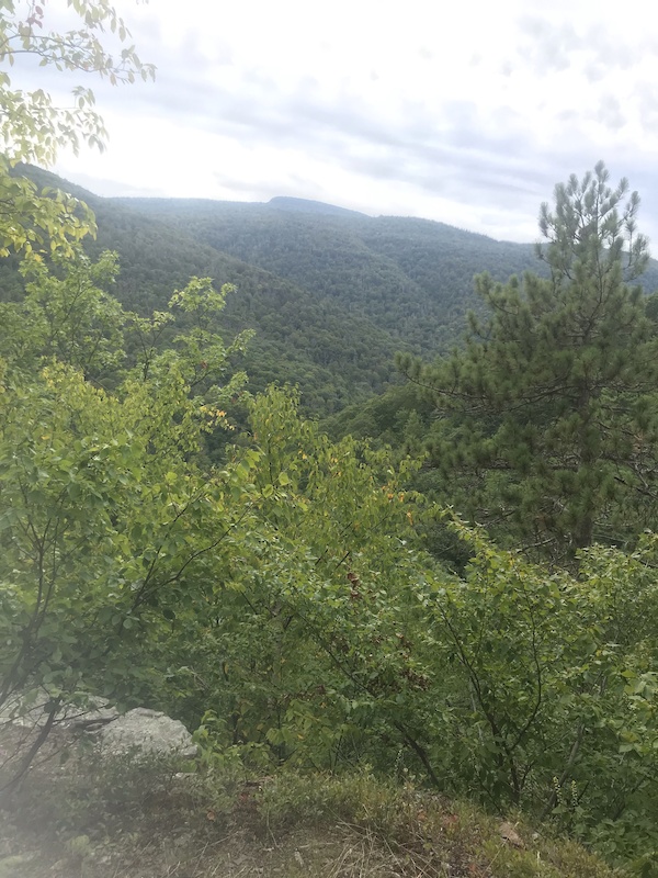 Palenville, New York Mountain Biking Trails Trailforks