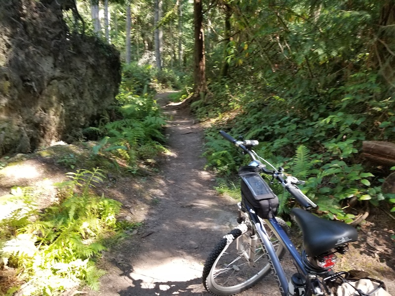 Diamond Point Trail Mountain Biking Trail Sequim