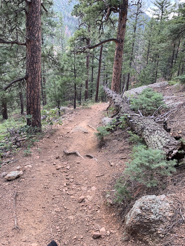 Daniel's Pass Mountain Biking Trail Colorado Springs