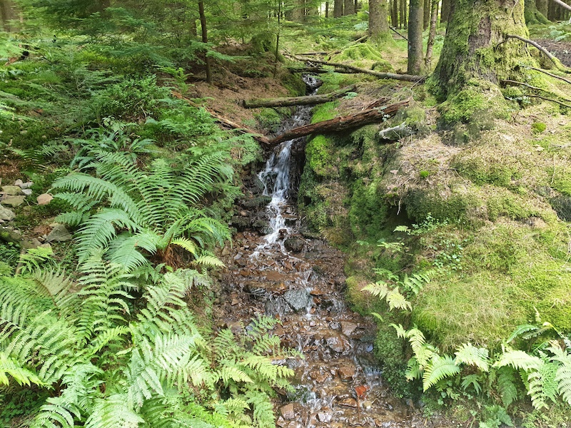 Access Road Multi Trail Barry Sidings, Pontypridd