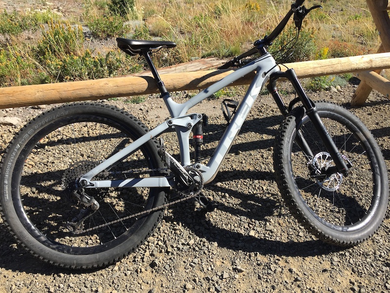 2019 trek remedy 9.9