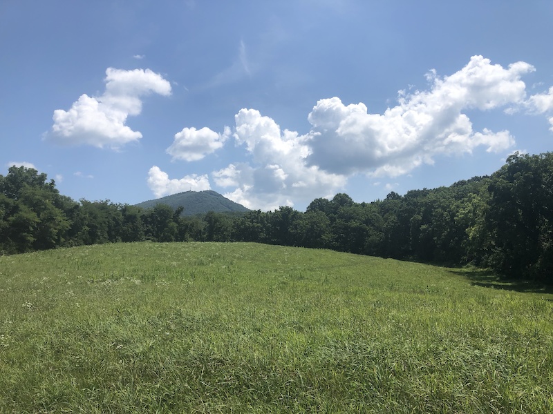 18 Boundary Mountain Biking Trail - Harrisonburg, VA