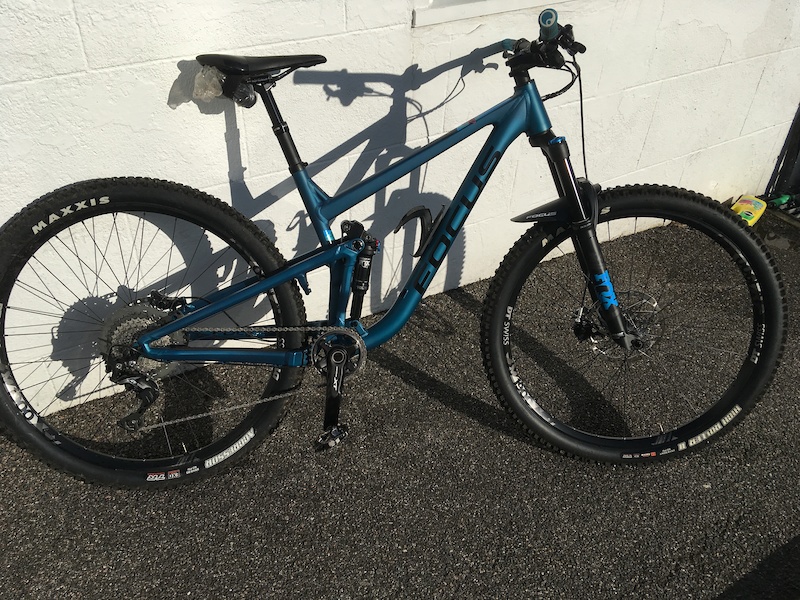 focus jam 29er