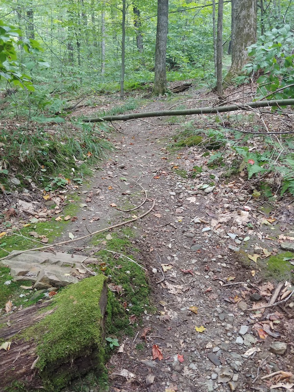 Passing The Horizon Mountain Biking Trail Hinesburg