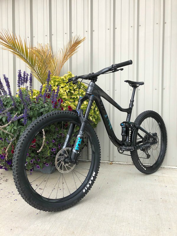 liv intrigue advanced 2 2019