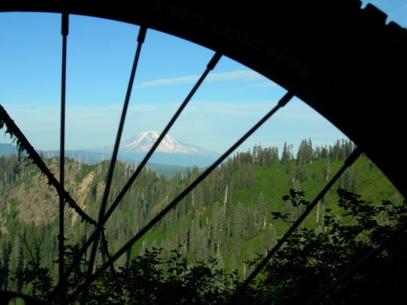 Looking through the spinergy at Mt Adams
