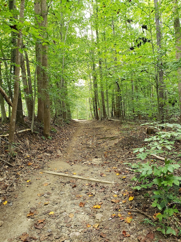 Bull Run Occoquan Trail Mountain Biking Trail - Fairfax Station