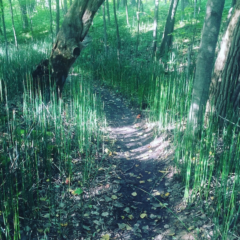 glacial blue hills mountain biking