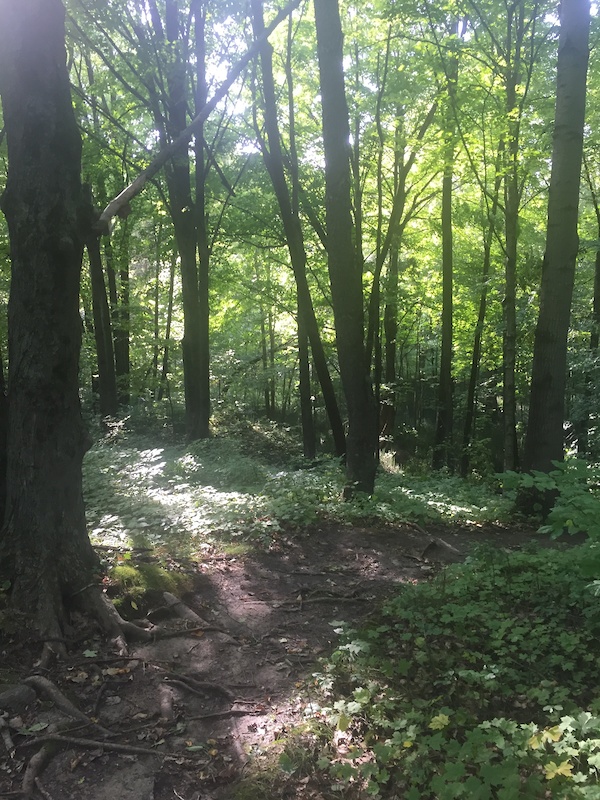 Ice Age Trail Mountain Biking Trail - West Bend, WI