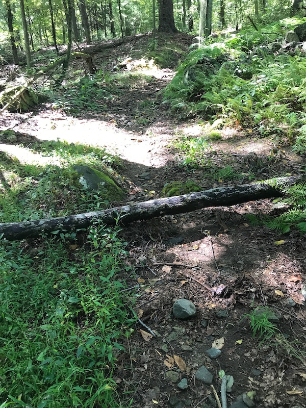 Bay Circuit Trail Sherborn Section Mountain Biking Route Trailforks