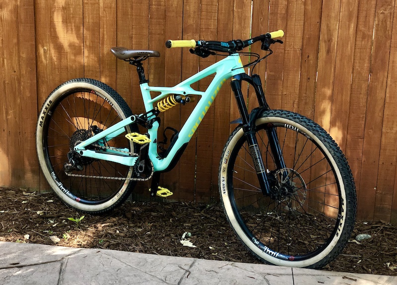 custom paint specialized bikes