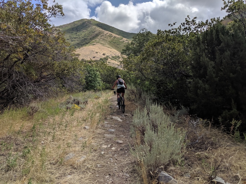 Bates Canyon Road Multi Trail - Tooele, Utah