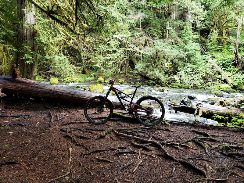 Lower Big Quilcene Multi Trail Washington