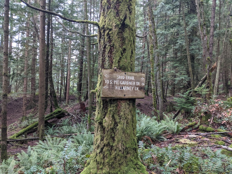 Skid Trail Multi Trail Bowen Island, British Columbia