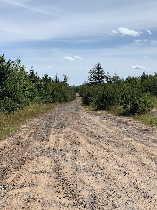 Porter's Lake Wilderness, Porters Lake Mountain Biking Trails Trailforks