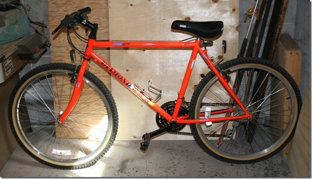 1991 Diamond Back Ascent