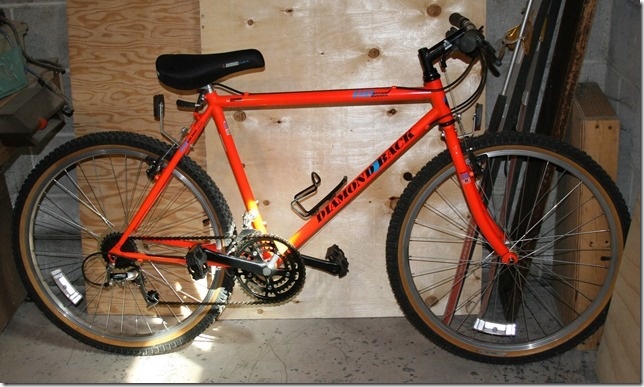 1991 Diamond Back Ascent