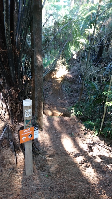 mountain biking new plymouth