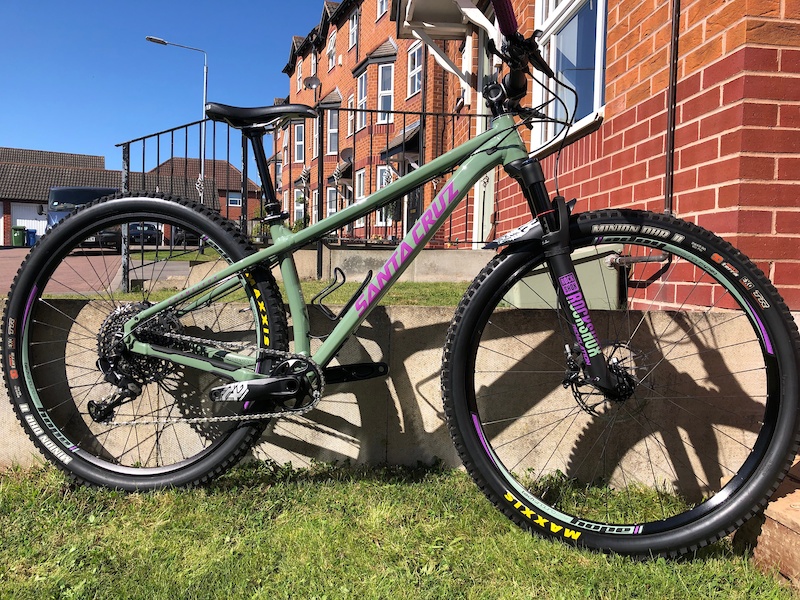 santa cruz chameleon santa cruz chameleon
