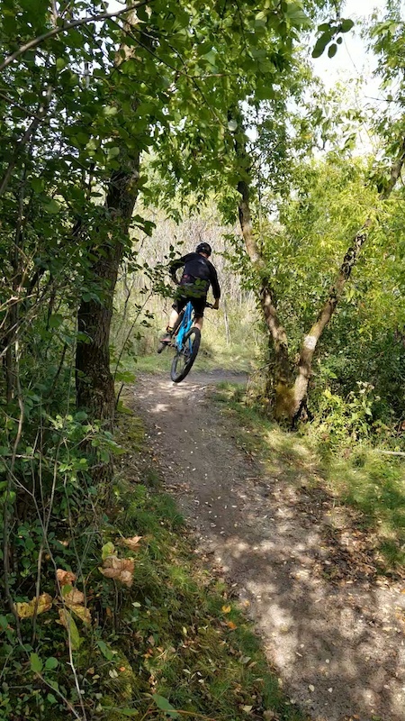 Billinge wood discount mountain bike trails