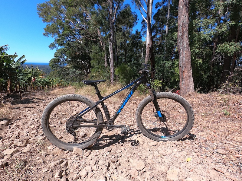 Downhill Mt Coramba Mountain Biking Trail Coffs Harbour