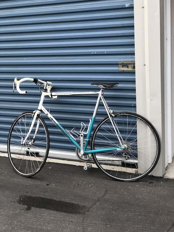 bianchi alfana for sale