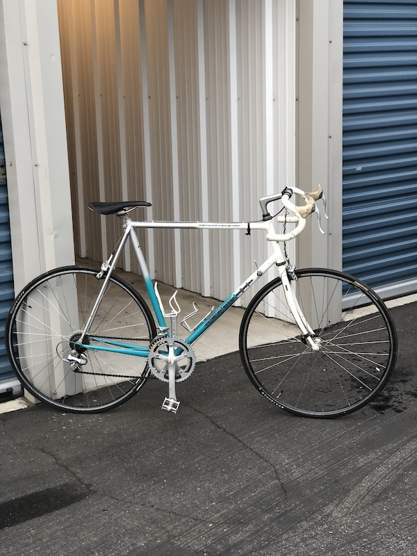 bianchi alfana