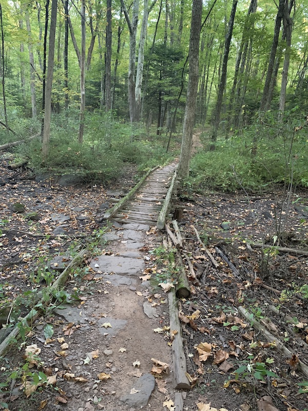 Microburst Multi Trail East Granby, Connecticut