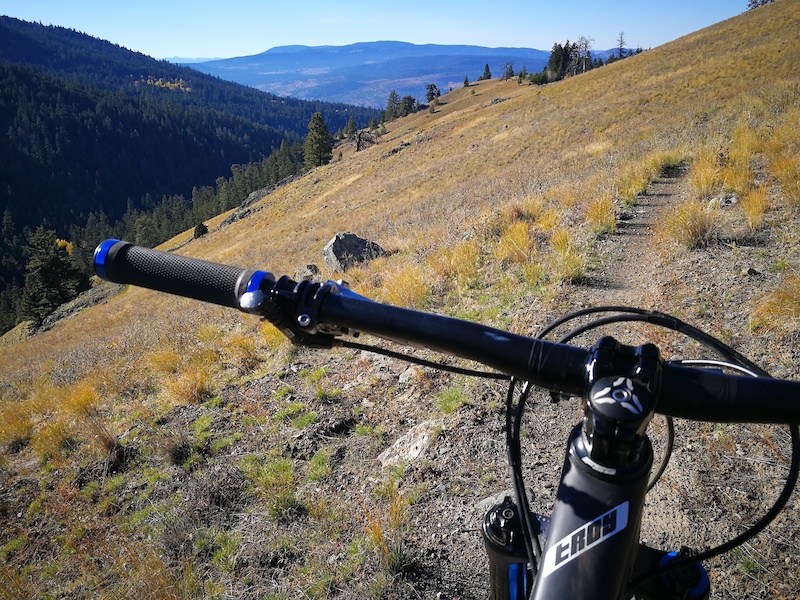 devinci troy carbon 2018