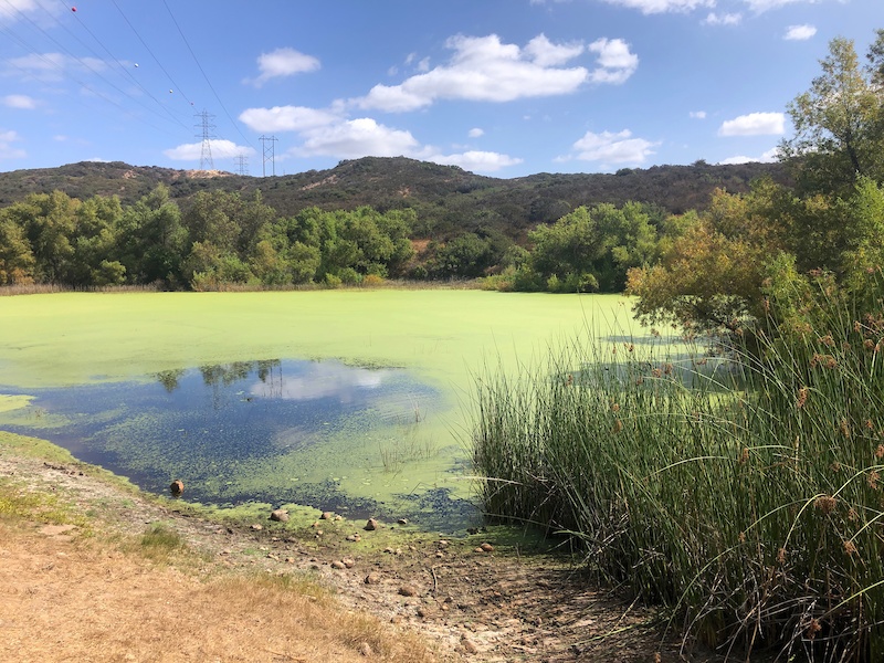 Carmel Mountain Road Path Mountain Biking Trail California
