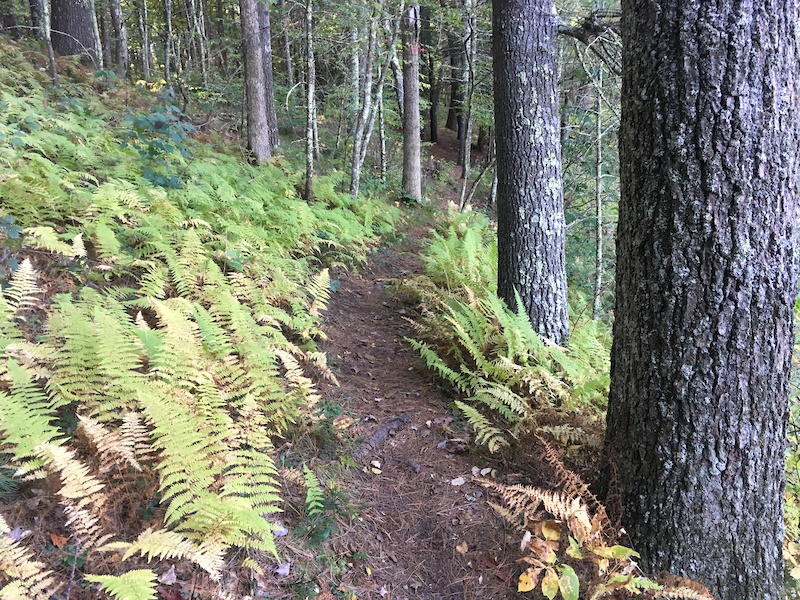 ridgeline mountain bike trail