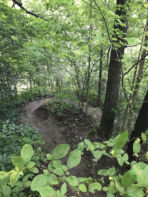Dalewood Conservation Area, St. Thomas Mountain Biking Trails Trailforks