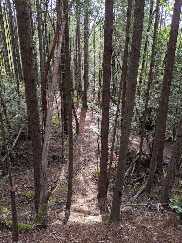 at Step Ladder in Victoria, British Columbia, Canada - photo by eh ...