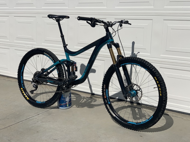 giant reign custom paint