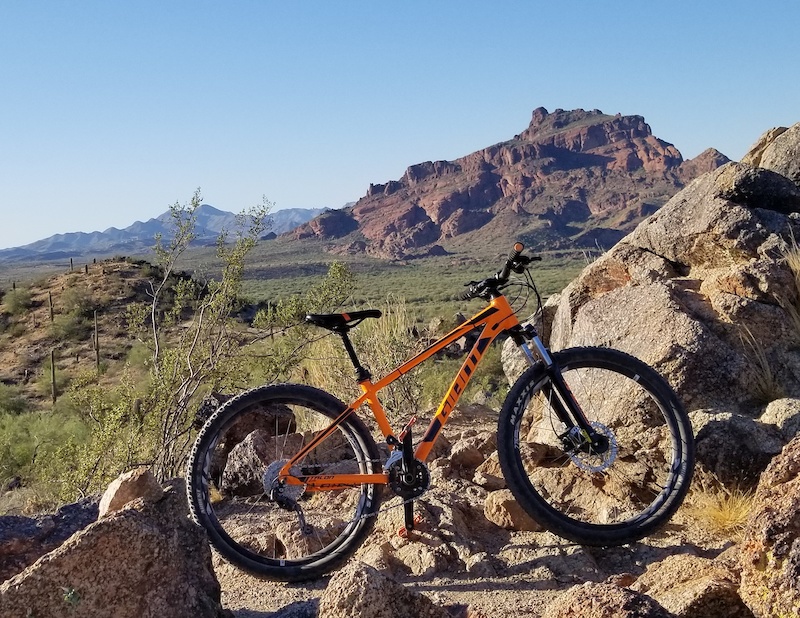 giant talon 2 2019 orange