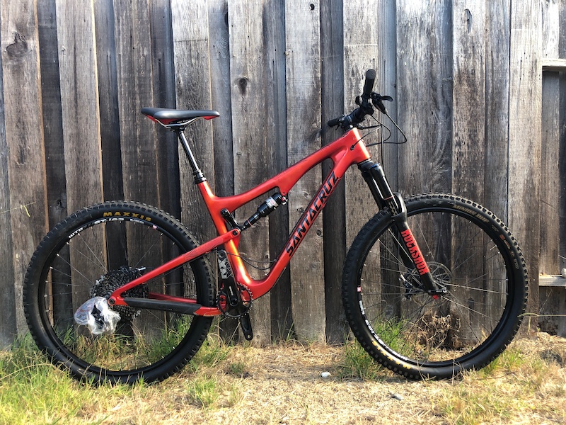 santa cruz bikes custom paint