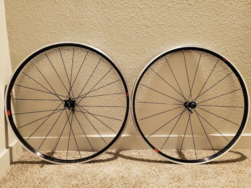 bontrager paradigm comp tlr