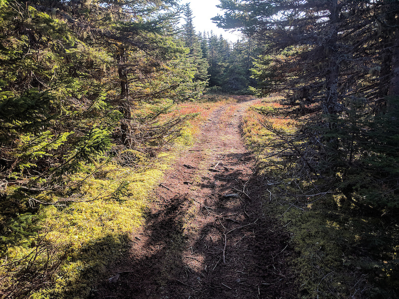 west mountain biking