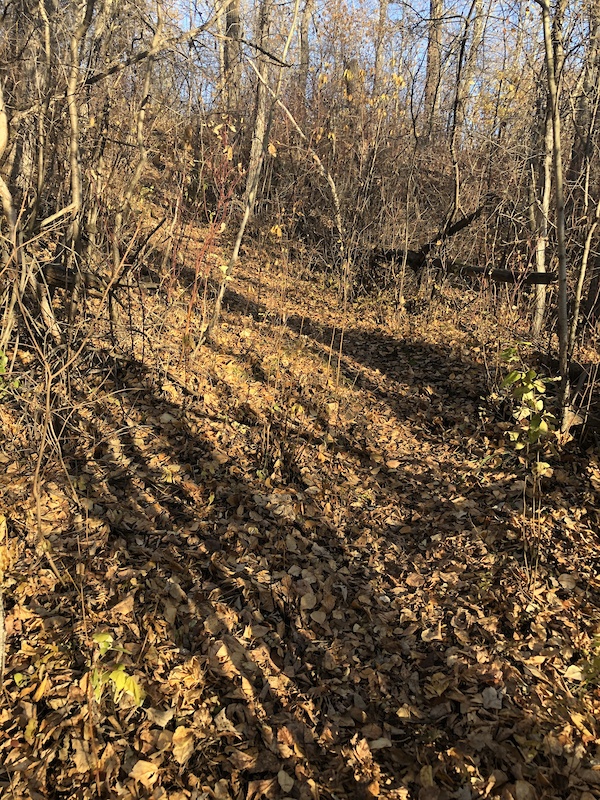 Mill-Berms Mountain Biking Trail - Edmonton, Alberta