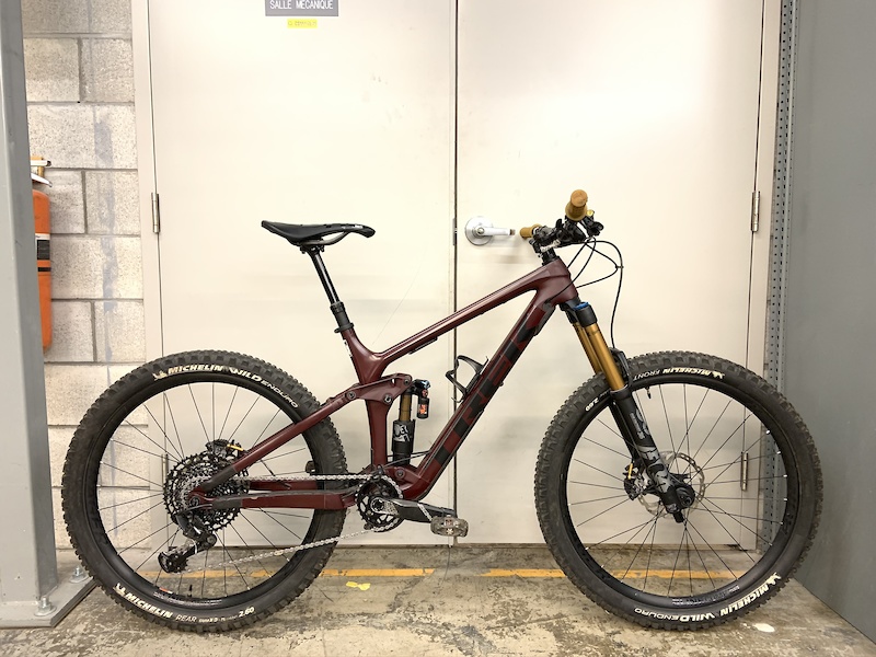 2019 Trek Remedy For Sale