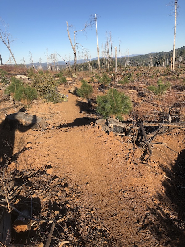 Karen's Trail Mountain Biking Trail Cobb, California