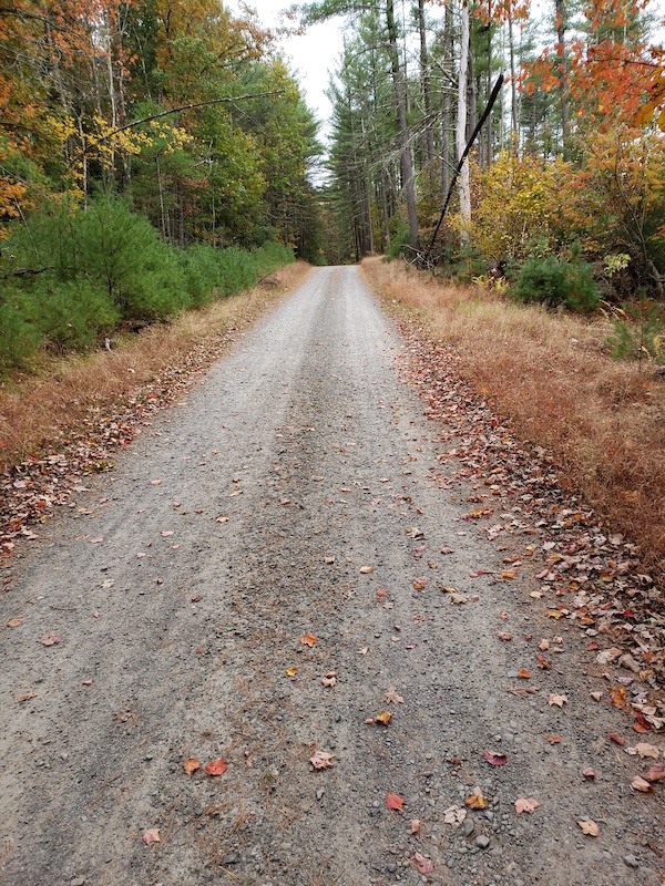Port Jervis, New York Mountain Biking Trails Trailforks